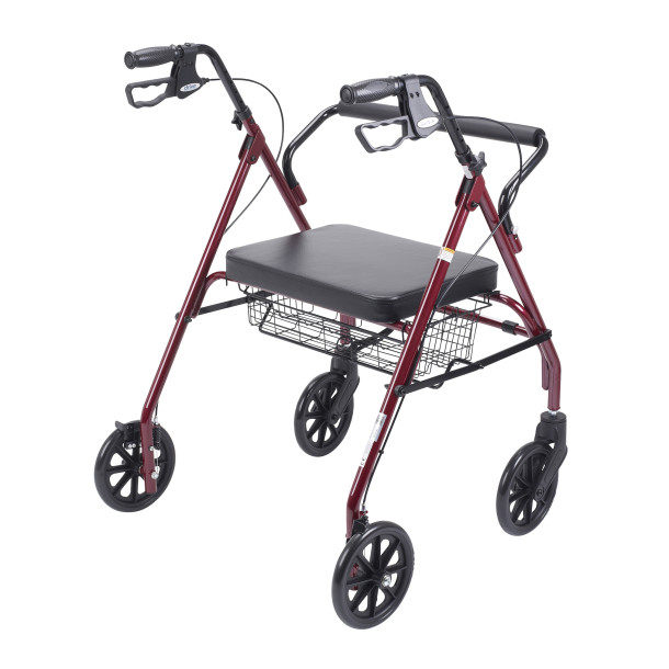 Rollator (Bariatric) - Image 2